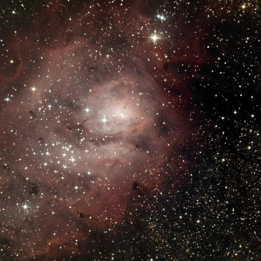 Untitled-1 (6795806343321)